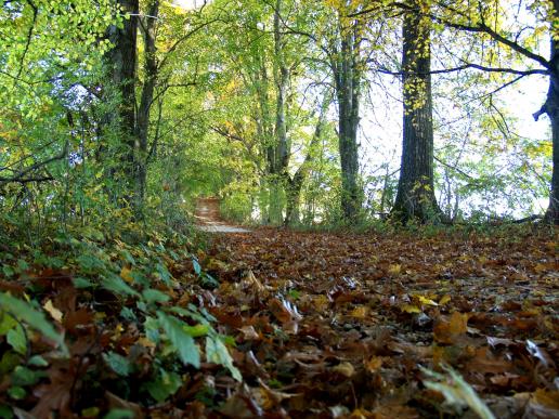 Der unglaublich faszinierende Weg hinauf zur Ruine