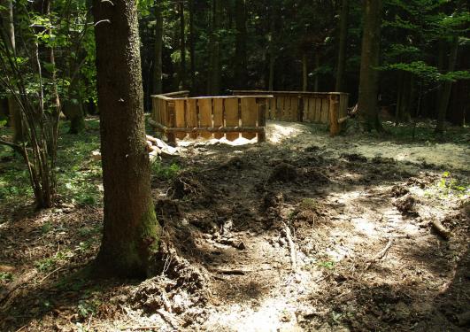 Da drinnen war der große  Wald - Ameisenhaufen, die Ameisen sind jedoch wo anders hin  gezogen...