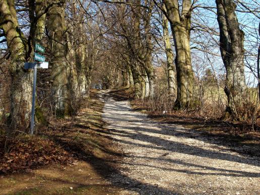 Der Weg kurz nach dem Winter