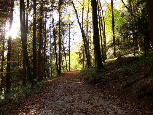 Oder im Herbst, egal an welcher Jahreszeit man die Route abgeht, es ist immer wieder anders und schön