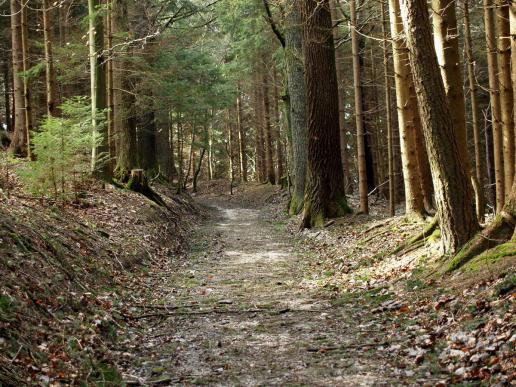 Der Weg um die Ruine und abwärts