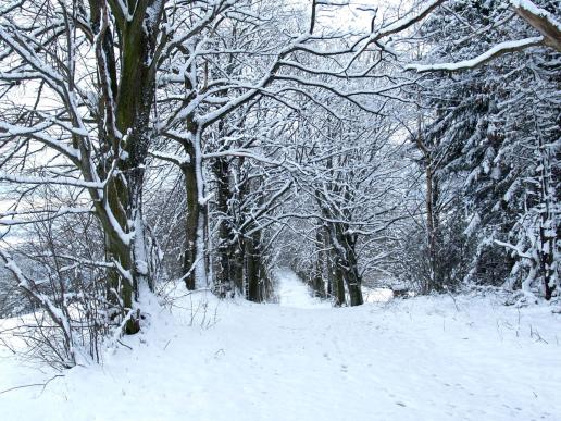 Im Winter ein ganz anderer Anblick...