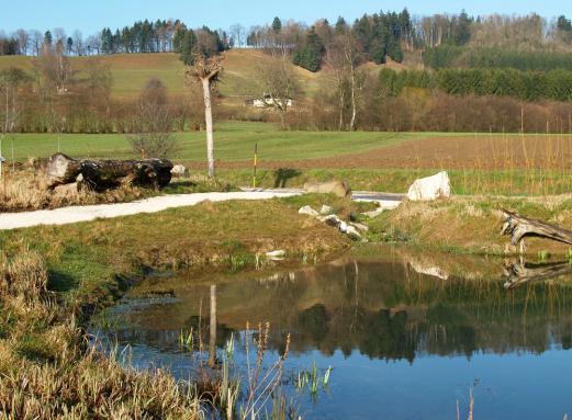 So hat der Bereich um 2006 einmal ausgesehen, es war ein Projekt der Naturschutzjugend  heute findet man nicht mehr so viel davon vor...