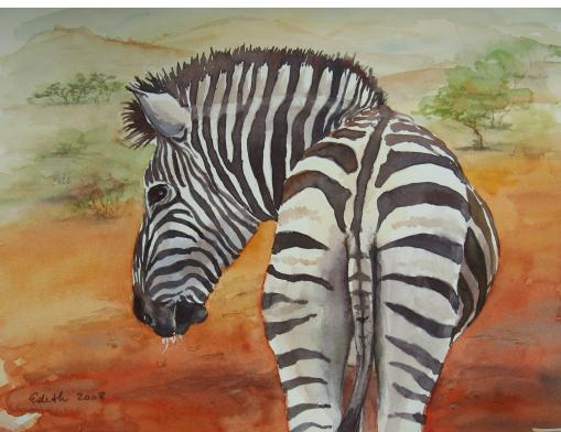 Zebra 